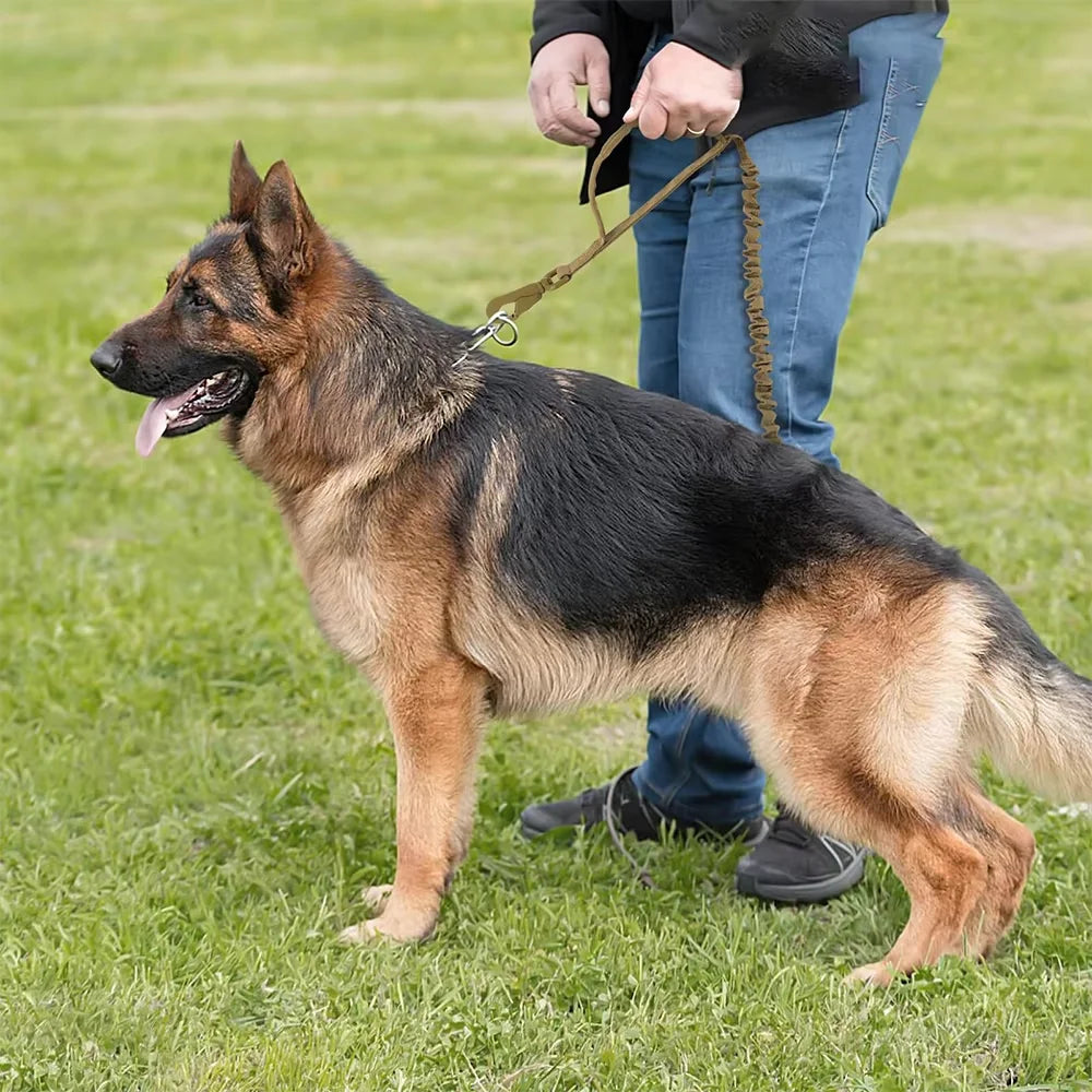 PetraVel Adjustable Dog Leash With Two Handles And Quick Release