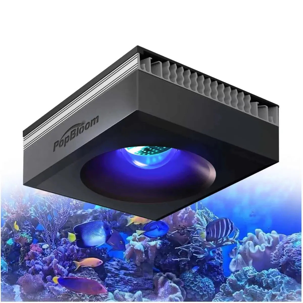 PopBloom 100W WiFi Marine Reef Aquarium LED Full Spectrum Light