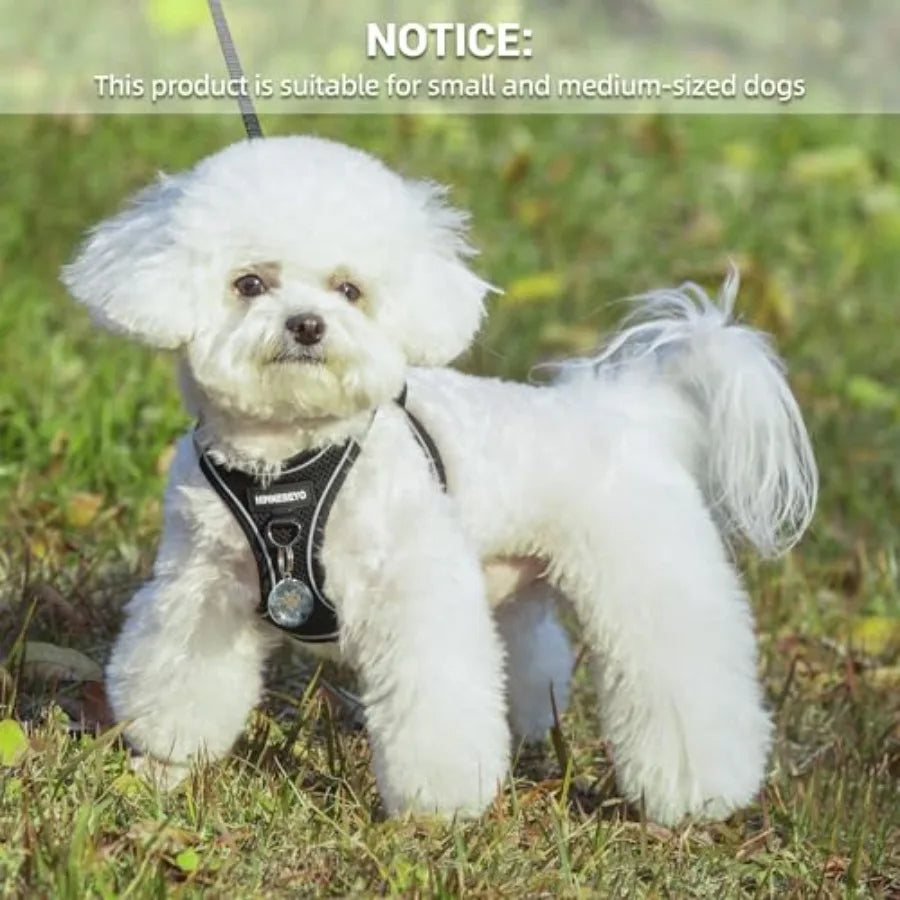 Reflective Breathable Dog Harness And Leash Set For Puppies