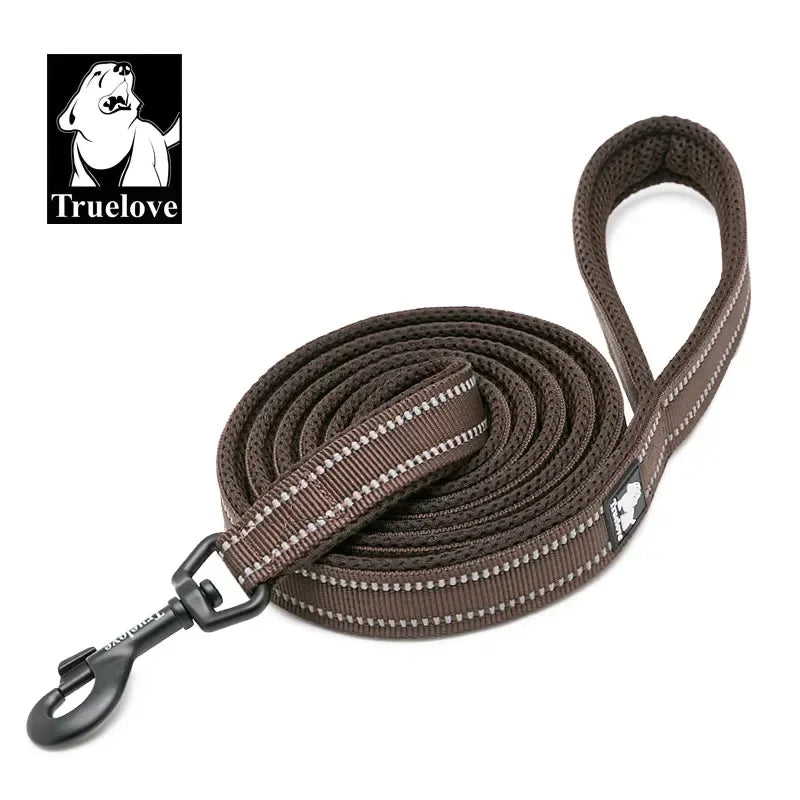 TRUELOVE Reflective Padded Nylon Pet Leash for Walking and Training