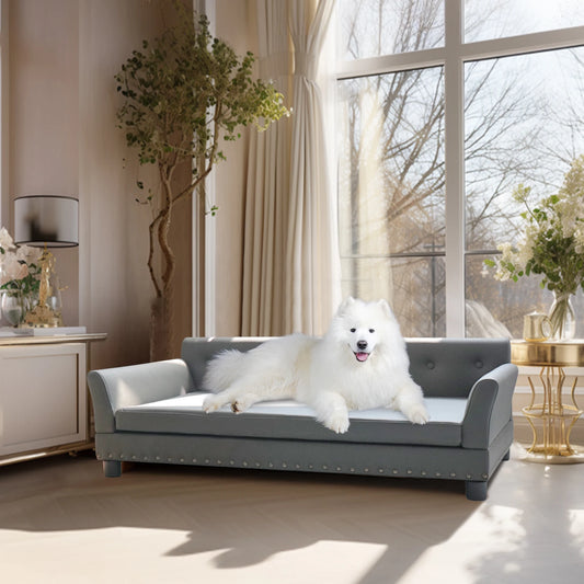Bingopaw Elevated Dog Bed Sofa With Removable Microfiber Cushion