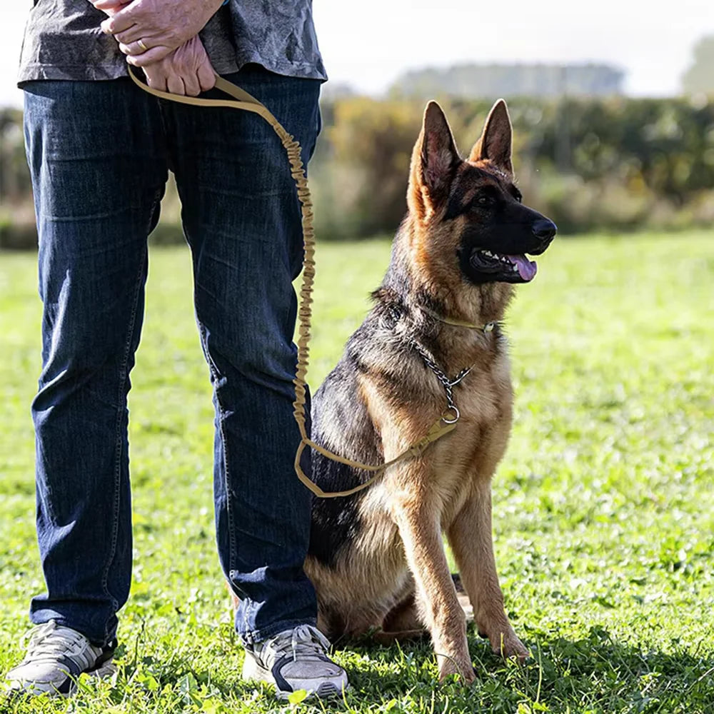 PetraVel Adjustable Dog Leash With Two Handles And Quick Release