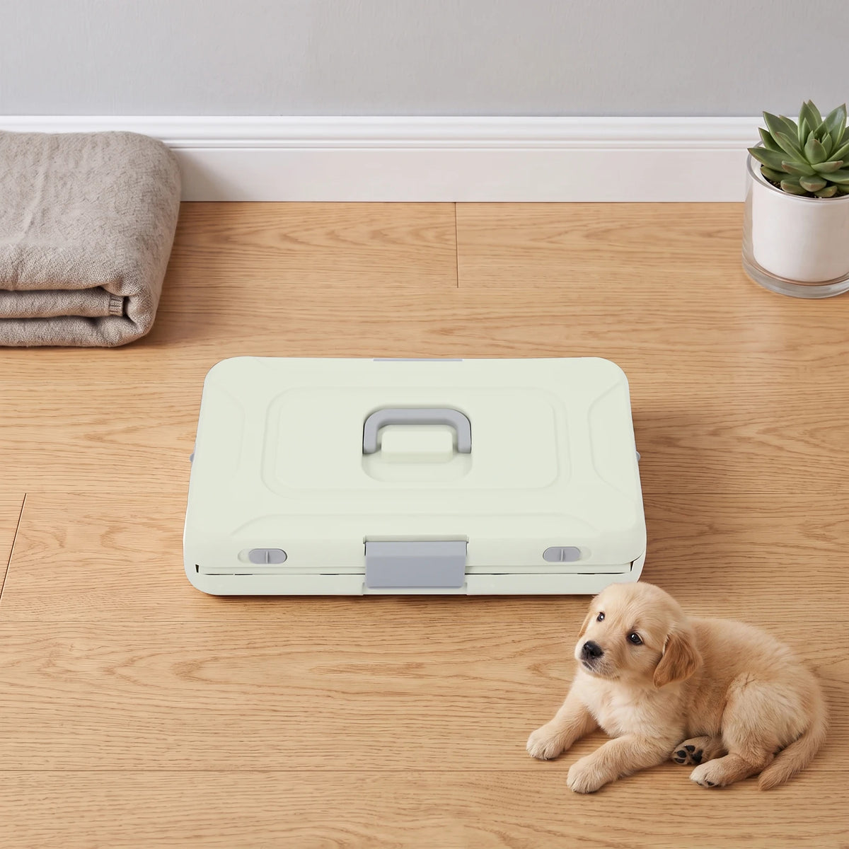 Foldable Travel Pet Carrier With Breathable Iron Frame Design