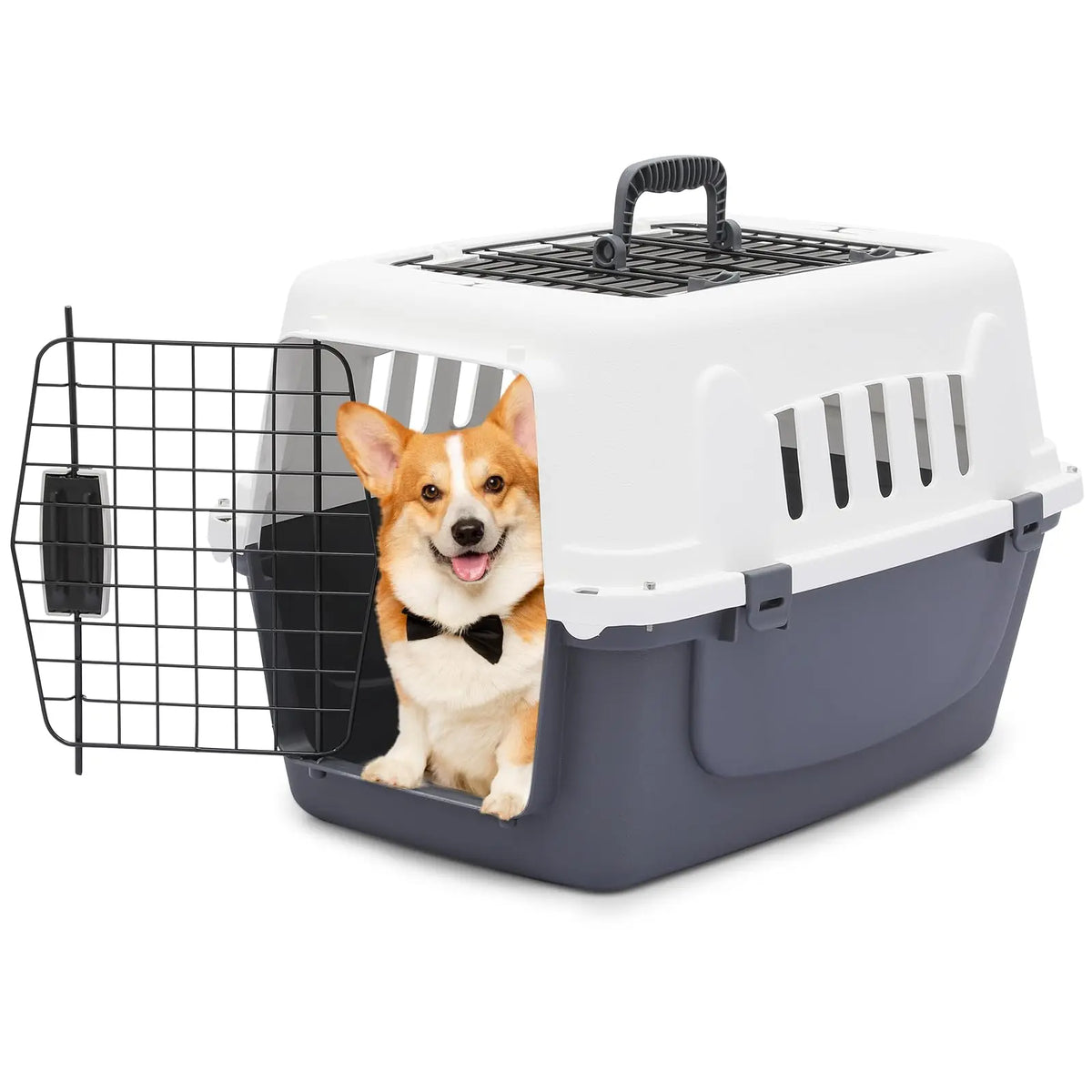 Athena Collection Hard Sided Travel Carrier For Small Pets