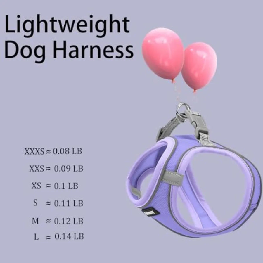 Breathable Reflective Step In Dog Harness And Leash Set
