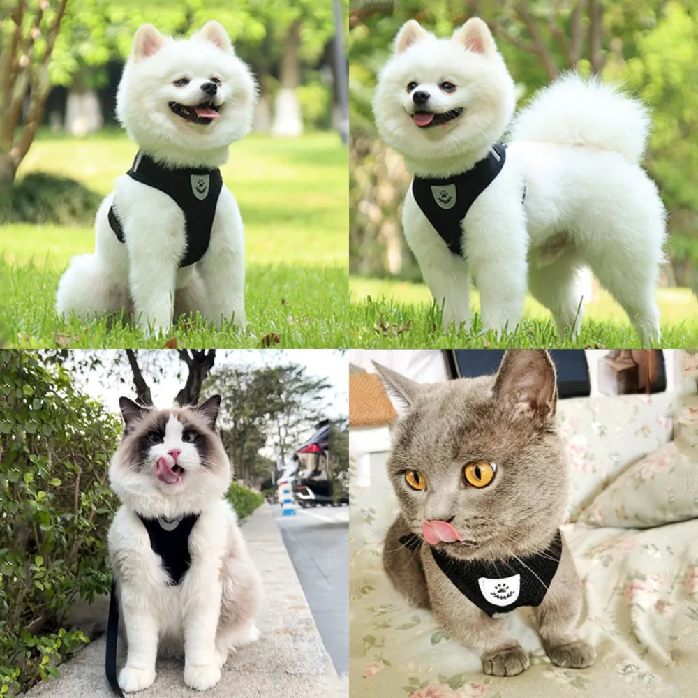 Adjustable Reflective Escape Proof Dog Cat Harness Leash Set Vest