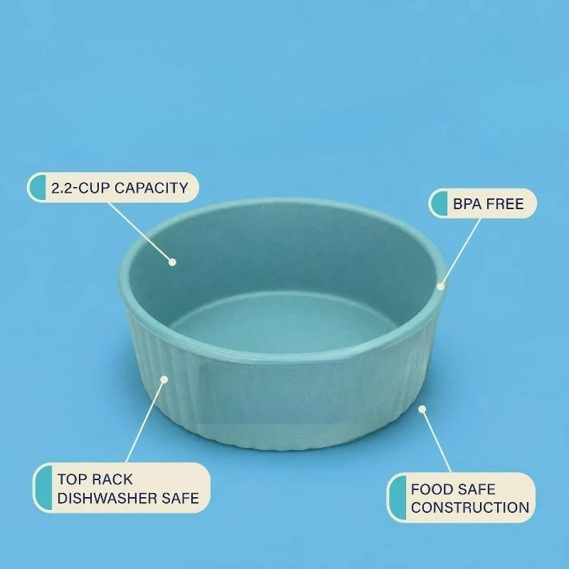 Round Plastic Pet Food and Water Bowl for Everyday Feeding