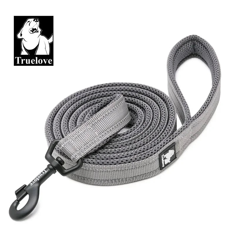 TRUELOVE Reflective Padded Nylon Pet Leash for Walking and Training
