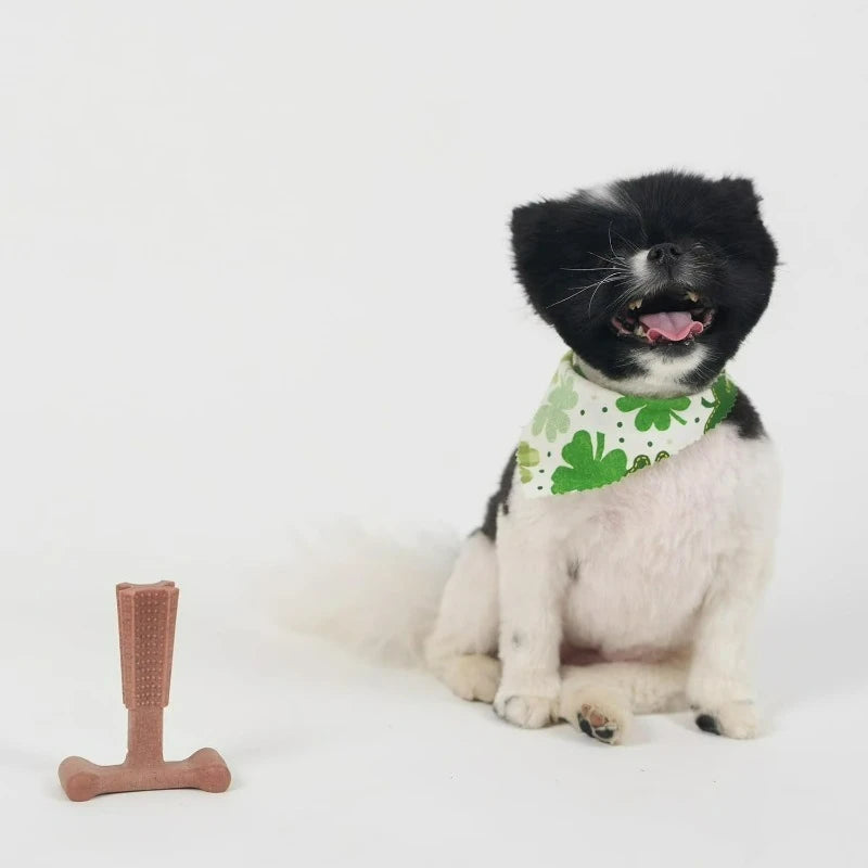 T Bone Beef Flavored Nylon Chew Toy for Aggressive Dogs