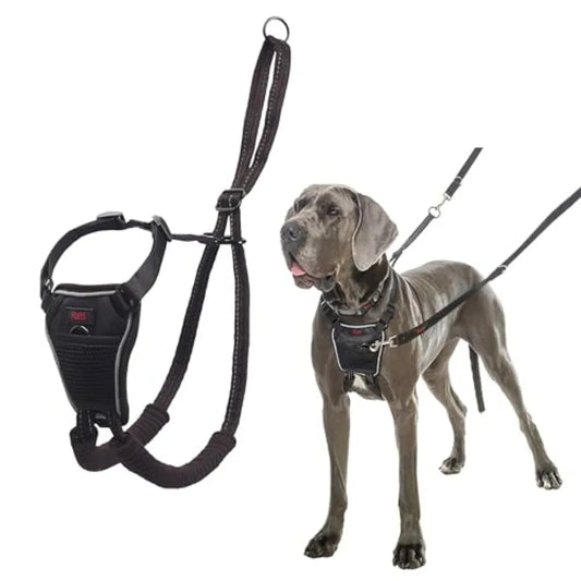 Adjustable No Pull Dog Training Harness For Comfortable Walks