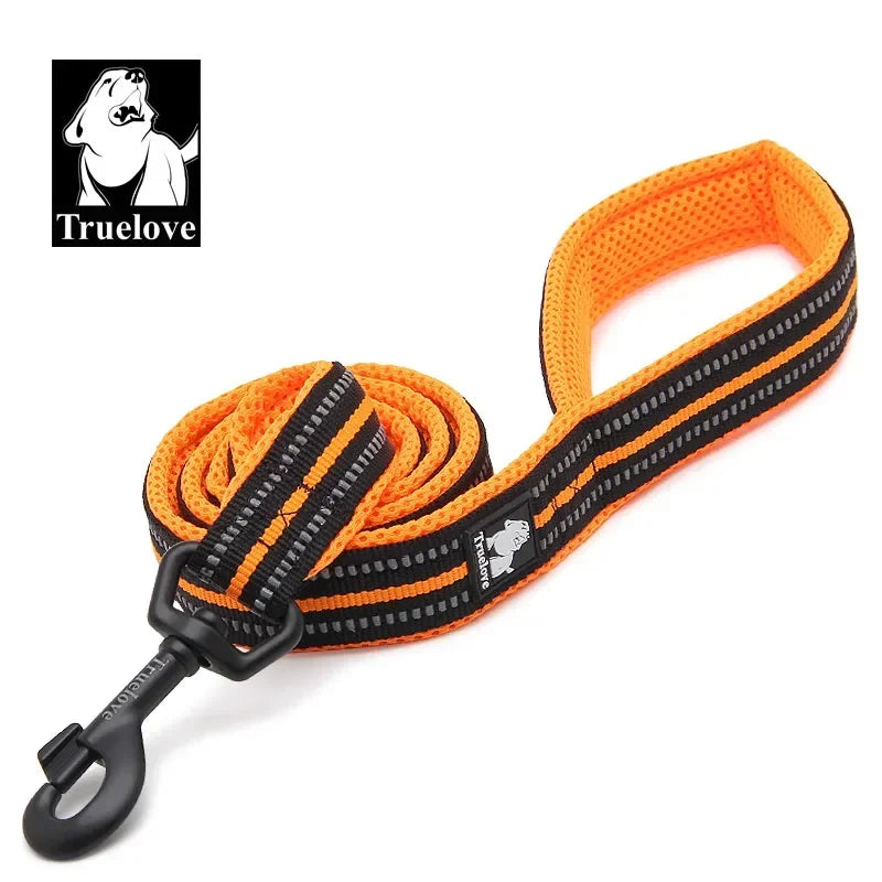 TRUELOVE Reflective Padded Nylon Pet Leash for Walking and Training