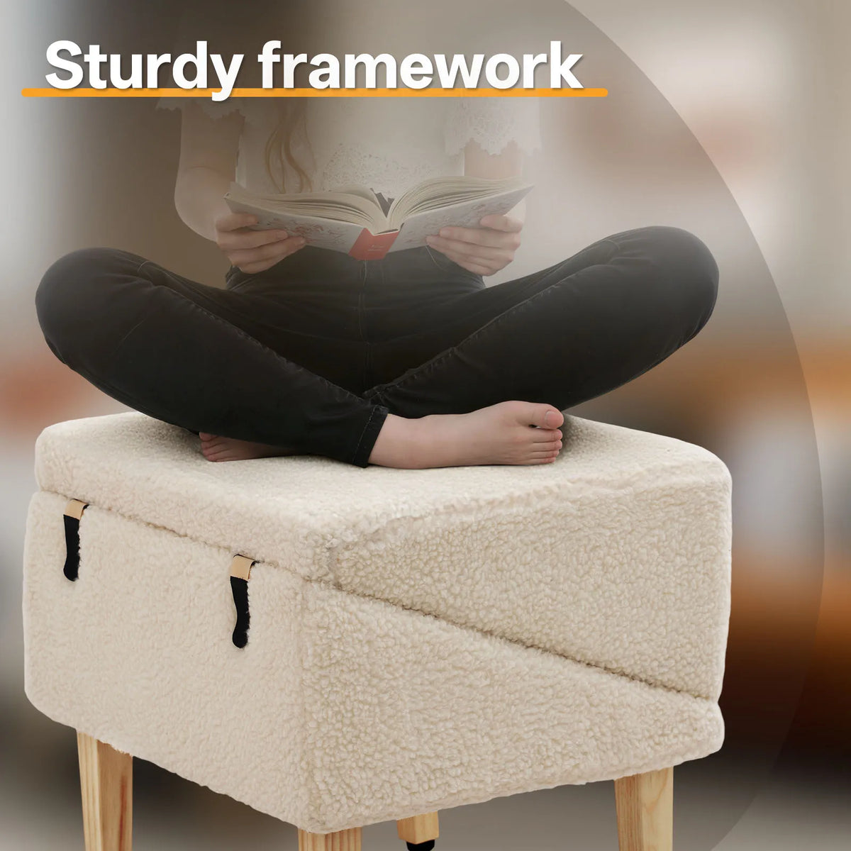 3 In 1 Wooden Pet Ramp With Hidden Storage Footstool