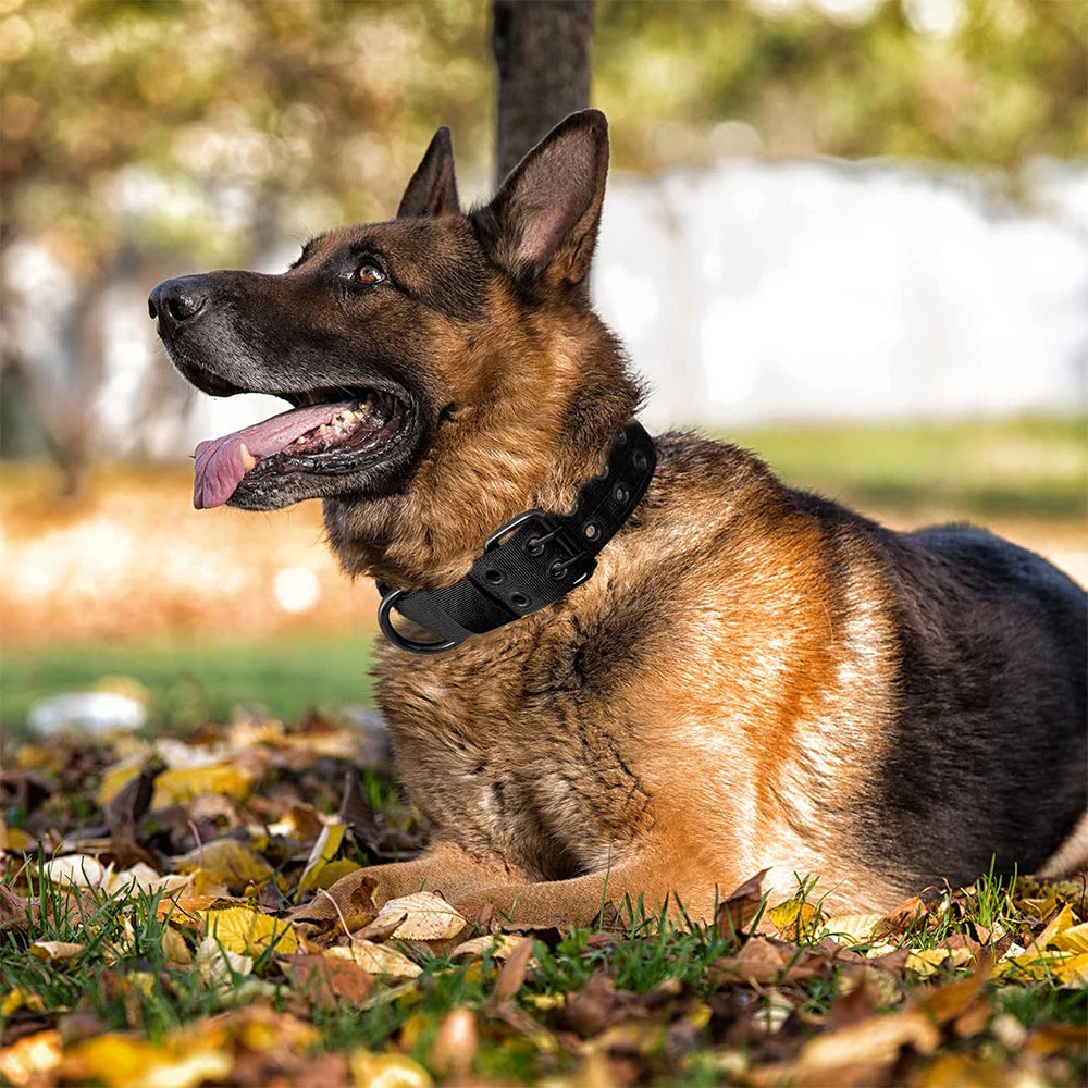 Durable Tactical Nylon Dog Collar For Outdoor Training And Walking