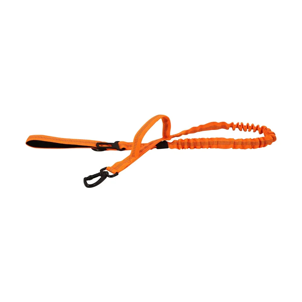 PetraVel Adjustable Dog Leash With Two Handles And Quick Release